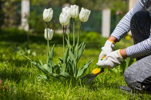Inclusive browsing experience for West Drayton gardeners