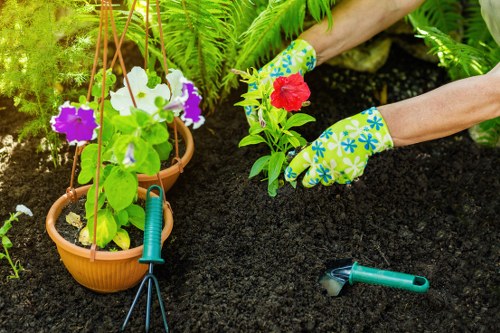 Local gardener providing lawn and hedge care in West Drayton