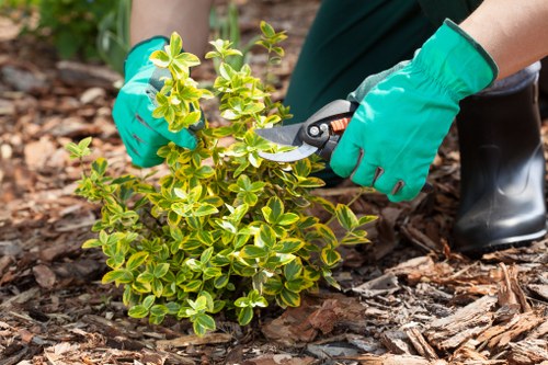 West Drayton gardening team reviewing hazard controls