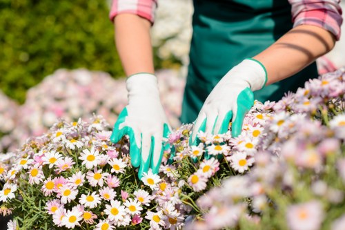 Seasonal garden maintenance in West Drayton for healthy outdoor spaces