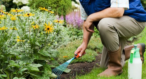 Professional garden maintenance in West Drayton including weeding and border care