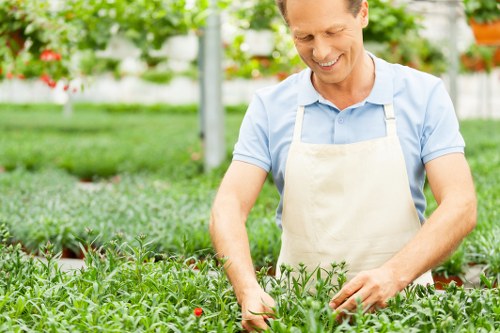 Healthy garden maintenance in West Drayton with lawn care and plant shaping