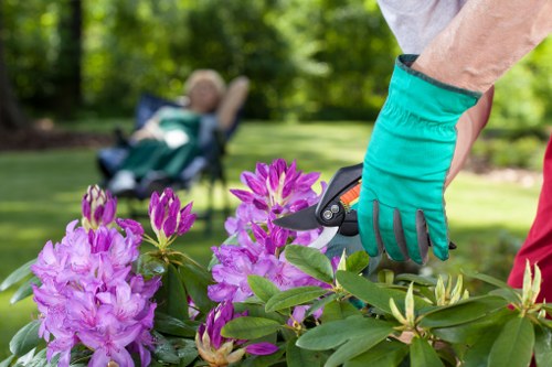 Customer concern being reviewed in gardening services