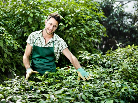 Professional West Drayton gardeners improving a balanced residential garden