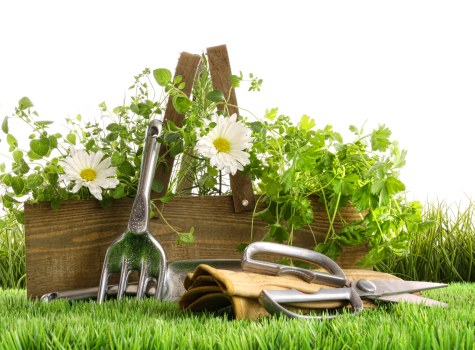 Gardeners West Drayton creating a tidy, attractive, and practical garden