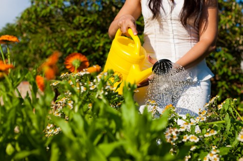 Seasonal garden upkeep in West Drayton with pruning and leaf clearance