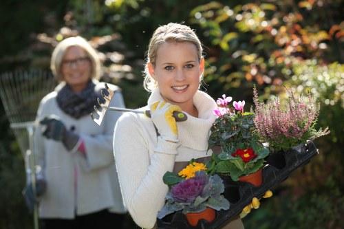 Seasonal planting and soft landscaping in a West Drayton garden