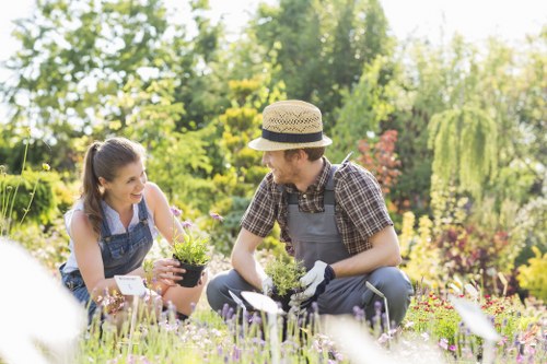 West Drayton garden maintenance for a neat and balanced outdoor space
