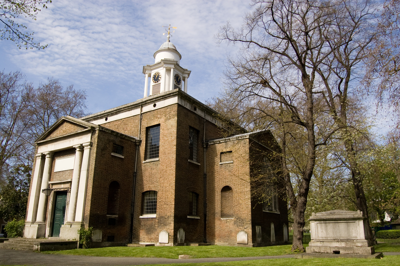hedge trimming Professional gardeners