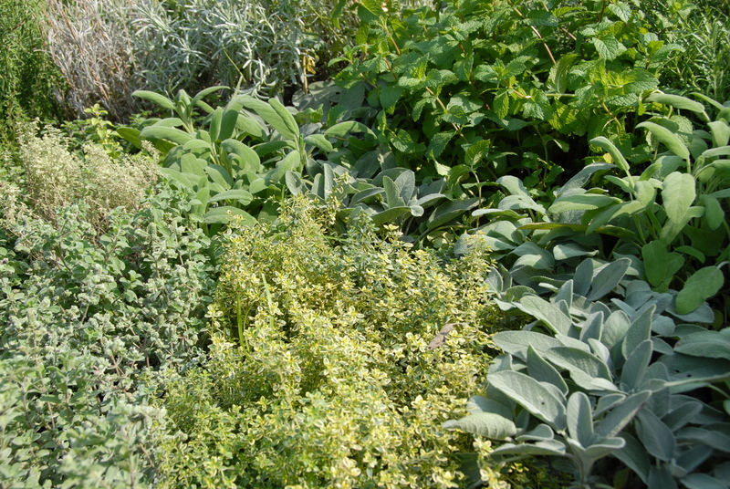 garden property